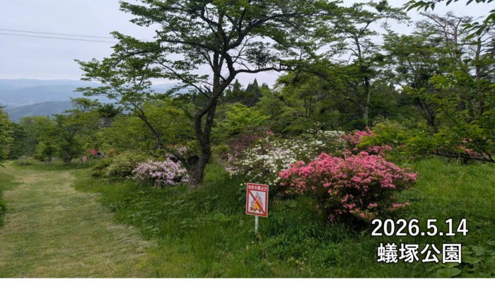 蟻塚公園